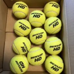 【使用回数1回:2Hのみ】DUNLOP HD 硬式テニスボール 11球 当日発送