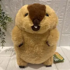 マーモットのもっとっと ぬいぐるみ JB アー太郎　２８cm