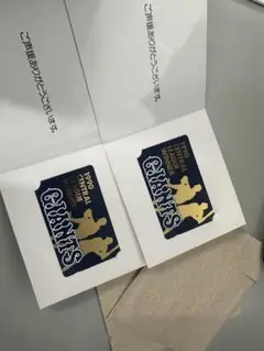 【非売品・記念品】読売ジャイアンツ セ・リーグ優勝 記念カード 2枚セット