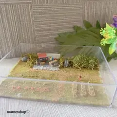 Item thumbnail for item 344106b5-360a-4f25-aa1c-a8466c69100d