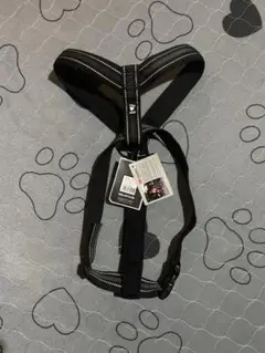 Item thumbnail for item 56a59fb9-4e18-4c9d-834b-aa00a942e4dd