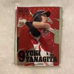 福岡ソフトバンクホークス 柳田悠岐 シークレット メタリックカード