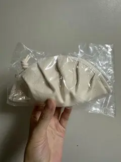 宇都宮餃子ポーチ
