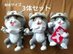 【3体セット】BIG 仕事猫 現場猫 ぬいぐるみ 大きいサイズ マスク付き