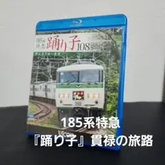 185系 特急踊り子108号 伊豆急下田～東京