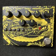 11日までの出品‼️即購入⭕️数量限定 LUNASEA J モデルAmpeg 11日までの出品‼️即購入⭕️数量限定 LUNASEA J モデルAmpeg