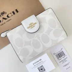 Item thumbnail for item b0cfa696-8109-43d4-be89-50a32e218747