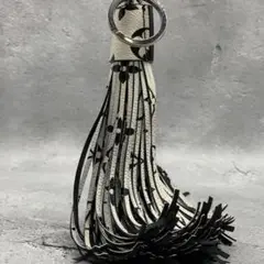 美品✨ルイヴィトン タッセル バッグチャーム キーホルダー モノグラム LV柄