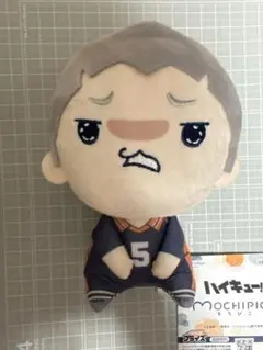 ハイキュー!! もちぴこぬいぐるみ④ 田中龍之介 新品未使用