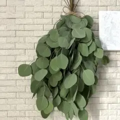ユーカリスワッグ