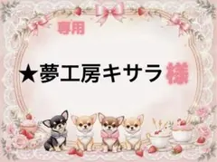 専用