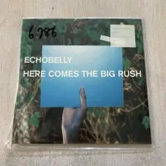 【CD】ECHOBELLY HERE COMES THE BI(250806)