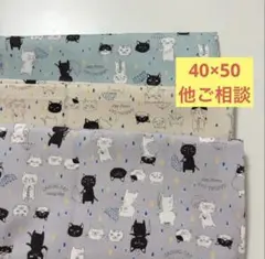 Item thumbnail for item 53970536-cd16-4e60-b91f-0e23f67491df