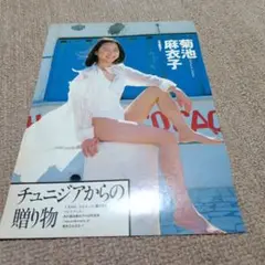 菊池麻衣子　切抜き