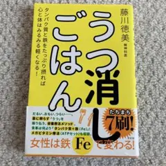 うつ消しごはん タンパク質と鉄をたっぷり摂れば心と体はみるみる軽くなる!