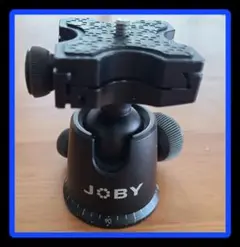 Item thumbnail for item 1d868bbe-14e1-4dd4-aff9-89f9273ea9f9