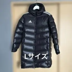 Item thumbnail for item 6657aca3-0ed0-4d97-8790-5ad739378f98