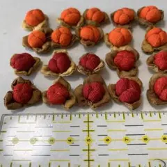 つるうめもどきの実　　20個