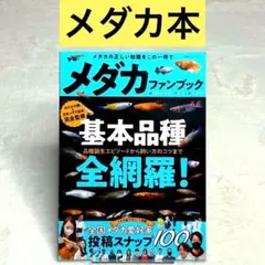 【良品】メダカファンブック （双葉社スーパームック）