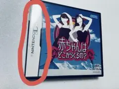 【値下げ】赤ちゃんはどこからくるの？ (ニンテンドーDS)