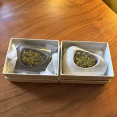 プリザーブドモス 石 ひねもす 白/黒 hinemoss 2個セット　苔 苔玉