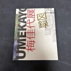 UMEKAYO 梅佳代展 図録