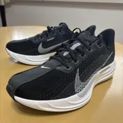 新品　NIKE ペガサスプラス　26cm タグ、箱有り