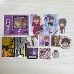 名探偵コナン コナンランド ロッカーくじ アクスタ 灰原哀 缶バッジ カード