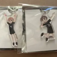 ハイキュー　ヒョーゴノスケ　アクキー　宮　侑　治