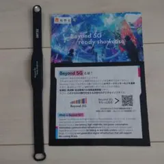 Item thumbnail for item 7692ffd2-d5b9-479b-9315-9812b927df90