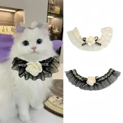 Item thumbnail for item b866cad9-9529-477a-9bb0-c5a38994428a