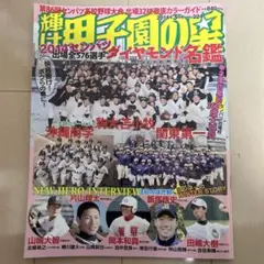 輝け甲子園の星　2014センバツ　ダイヤモンド名鑑