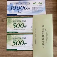 リネットジャパン優待券(ネットオフお買い物券)