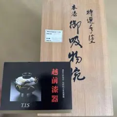 Item thumbnail for item 93647c57-1b4f-4d13-8202-05c408208814