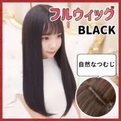 フルウィッグ ロング 黒 ストレート 自然 ナチュラル コスプレ 女子高生