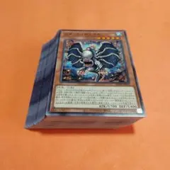 遊戯王　メメント・カクタス46枚
