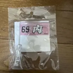 楽天イーグルス　極ミニフラッグ　内星龍　69