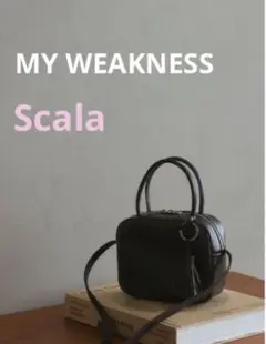 ともさかりえmy weakness 財布ブラック