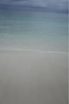 郵便花子様専用