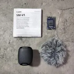 Item thumbnail for item 421dcb59-96d9-47be-bb7e-295043870869