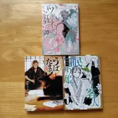 佐倉ユミ　3冊セット