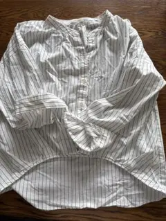 テチチ　レディース　シャツ