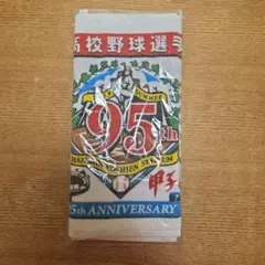 第95回全国高校野球選手権記念大会 タオル