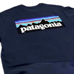 【美品】patagonia パタゴニア　メンズTシャツ XS ネイビー