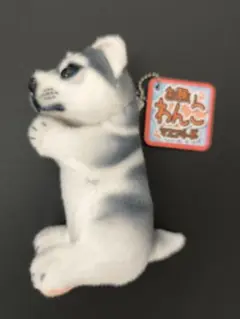 お願いわんこ　★　マスコットBC　ハスキー　☆