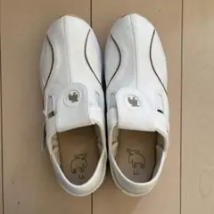 Item thumbnail for item d439fd15-f36c-4814-a0c0-b65259961a25