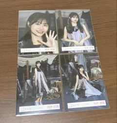 櫻坂46 向井純葉 マモリビト コンプ