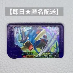 ポケモンフレンダ　ワンダーピッグ　ベストタッグ1弾【ギャラドス】メルカリ便