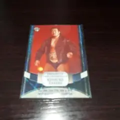 佐々木健介 IWGPヘビー級チャンピオン カード