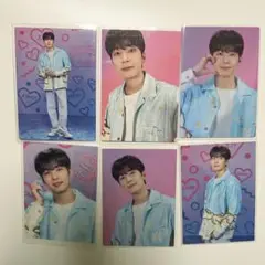 SEVENTEEN LOVE ウォヌトレカセット